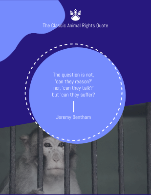 The question is not, 'can they reason?' nor, 'can they talk?' but 'can they suffer? ― Jeremy Bentham.