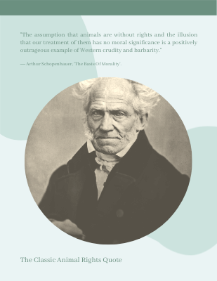 The assumption that animals are without rights and the illusion that our treatment of them has no moral significance is a positively outrageous example of Western crudity and barbarity.― Arthur Schopenhauer