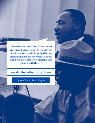 One day the absurdity of the almost universal human belief in the slavery of other animals will be palpable. ― Martin Luther King, Jr.