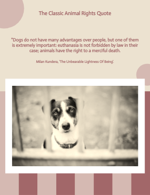 Dogs do not have many advantages over people, but one of them is extremely important: euthanasia is not forbidden by law in their case; animals have the right to a merciful death.― Milan Kundera