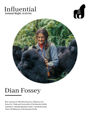 Dian Fossey Biography