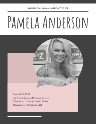 Pamela Anderson Biography