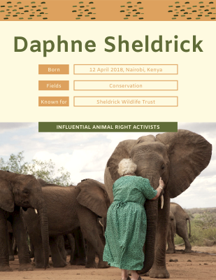 daphne sheldrick books