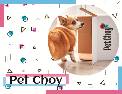 Pet Choy Rebranding