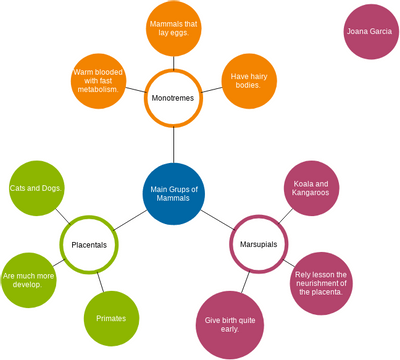 Cluster Diagram Template | Visual Paradigm User-Contributed Diagrams ...